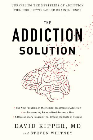 Book cover of The Addiction Solution