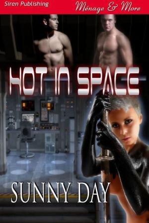 Cover of the book Hot in Space by Clair de Lune
