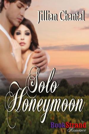 Cover of the book Solo Honeymoon by Jennifer Probst