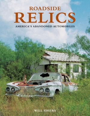bigCover of the book Roadside Relics by 