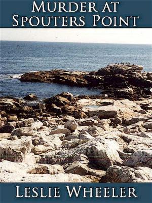 Cover of the book Murder at Spouters Point by Martha Schroeder