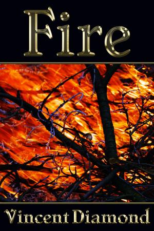 Cover of the book Fire by Wayne Mansfield