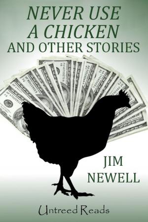 Cover of the book Never Use a Chicken and Other Stories by Romy Fölck