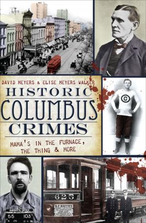 Cover of the book Historic Columbus Crimes by Javier María López Rodríguez