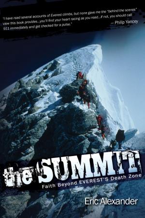 Cover of the book The Summit by Lea Ann Garfias