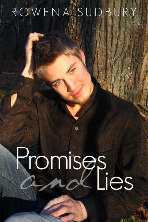 Cover of the book Promises and Lies by M.J. O'Shea