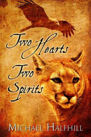 Cover of the book Two Hearts Two Spirits by JD Ruskin