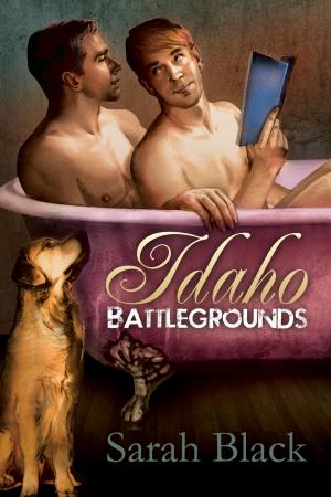 Cover of the book Idaho Battlegrounds by Carole Cummings