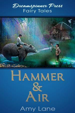 Cover of the book Hammer & Air by Hunter Frost