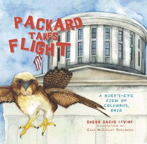 Cover of the book Packard Takes Flight by Richard A. Santillán, Joseph Thompson, Mikaela Selley, William Lange, Gregory Garrett