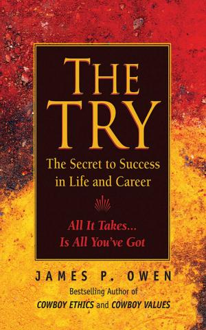 Cover of the book The Try by Carol Eikleberry, Ph.D., Carrie Pinsky