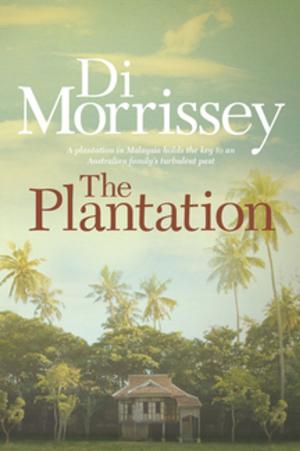 Cover of the book The Plantation by Stephen Inwood