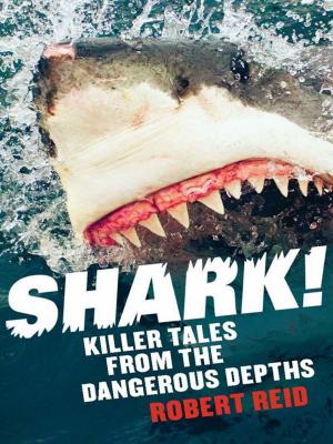 bigCover of the book Shark! Killer Tales From The Dangerous Depths by 