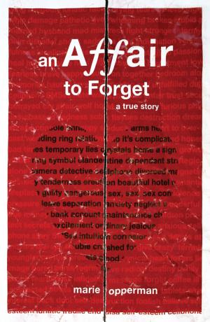 Cover of the book An Affair to Forget by Mr Darrel Bristow-Bovey