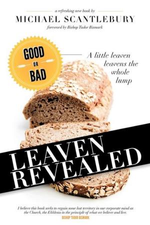 Cover of the book Leaven Revealed by Michael C. Diotte