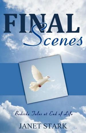 Cover of the book Final Scenes: Bedside Tales at End of Life by Karlissa J.