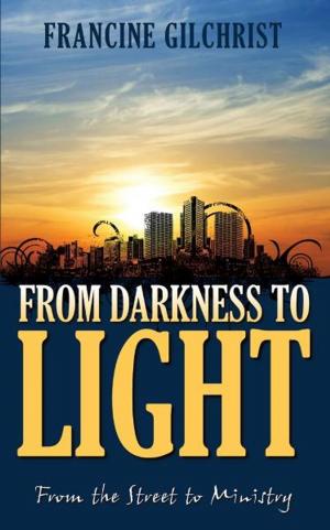 Cover of the book From Darkness to Light: From the Street to Ministry by Stacy Hawkins Adams