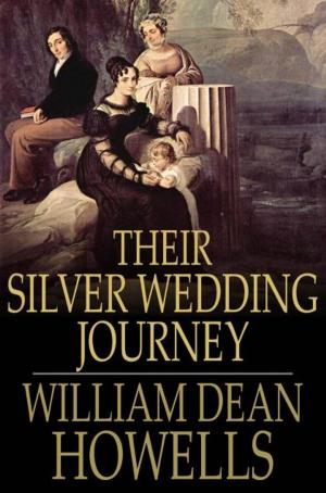 Book cover of Their Silver Wedding Journey