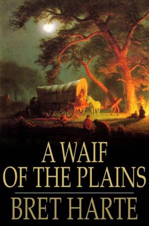 Cover of the book A Waif of the Plains by Harold Frederic