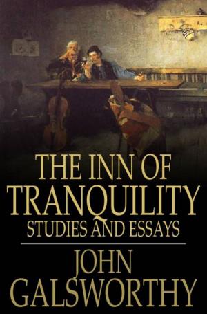 Cover of the book The Inn of Tranquility by E. T. A. Hoffman