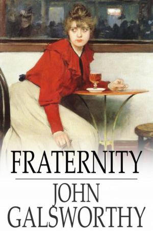 Cover of the book Fraternity by Captain Quincy Allen