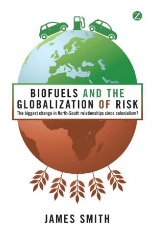 Cover of the book Biofuels and the Globalization of Risk by 