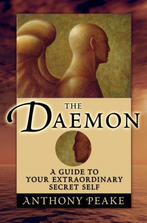 Cover of the book The Daemon by William Wray