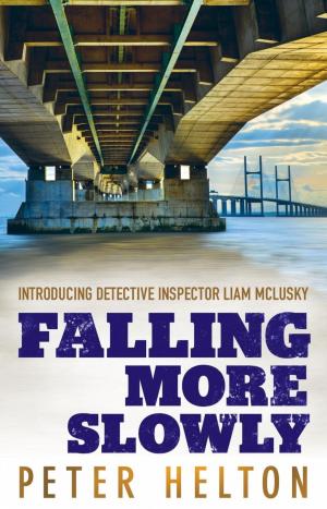 Cover of the book Falling More Slowly by Lisa Sodeau