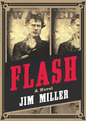 Cover of the book Flash by Jeff Conant