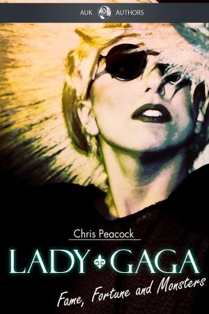 Cover of the book Lady Gaga - Fame Fortune and Monsters by Peter Broadbent