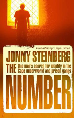 Cover of the book The Number by Adriaan Basson, Pieter du Toit