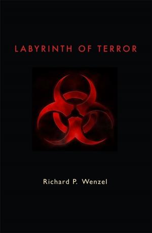 Cover of the book Labyrinth of Terror by Paul Hansen