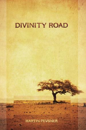 Cover of the book Divinity Road by Paul Andrews