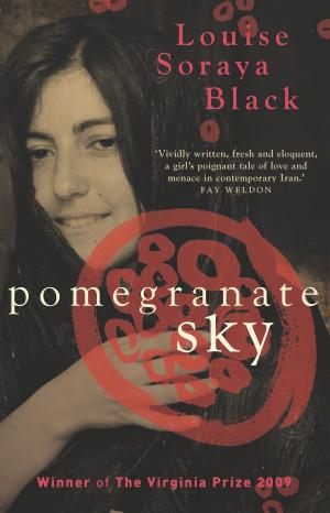 Cover of the book Pomegranate Sky by Ellen Cheshire