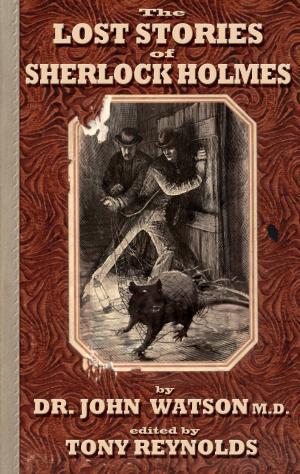 Cover of the book Lost Stories Of Sherlock Holmes by Judy Bartkowiak