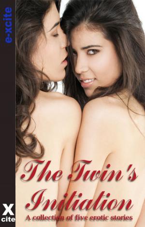 Book cover of The Twins Initiation