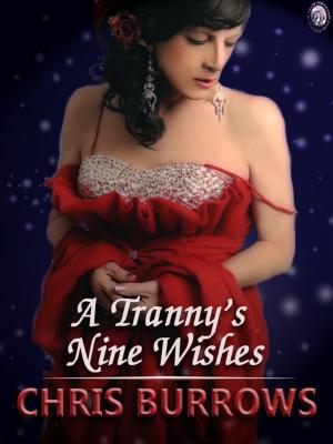 Book cover of A TRANNY'S NINE WISHES