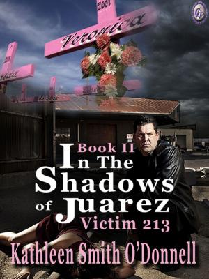 Cover of the book IN THE SHADOWS OF JUAREZ: VICTIM 213 Book II by R. RICHARD