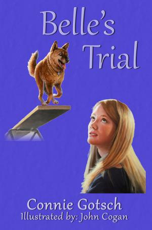 Cover of the book Belle's Trial by Jeanne Burrows-Johnson