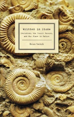 Cover of the book Written in Stone by Jerome Charyn
