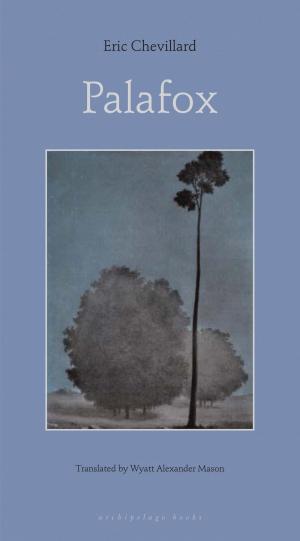 Book cover of Palafox