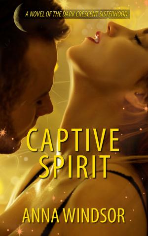 Cover of the book Captive Spirit by Amy Webb