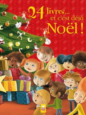 Book cover of 24 livres et c'est déjà Noël