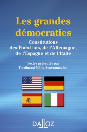 Cover of the book Les grandes démocraties. Constitutions des États-Unis, de l'Allemagne, de l'Espagne et de l'Italie by Gérard Lopez
