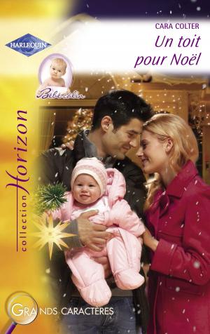 bigCover of the book Un toit pour Noël (Harlequin Horizon) by 