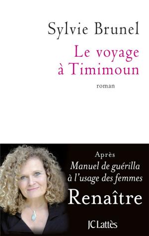 Book cover of Le voyage à Timimoun