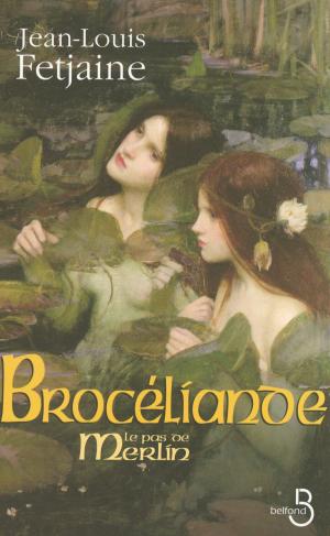 Cover of the book Brocéliande by Maël de CALAN