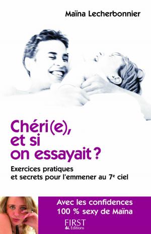Cover of the book Chéri(e), et si on essayait ? by Andy HARRIS