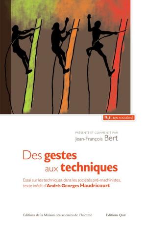 Cover of the book Des gestes aux techniques by Bernard Faye