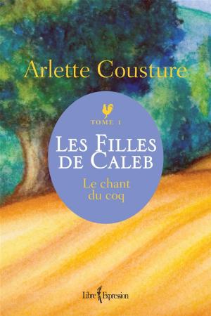 Cover of the book Les Filles de Caleb - Tome 1 by Suzanne Aubry